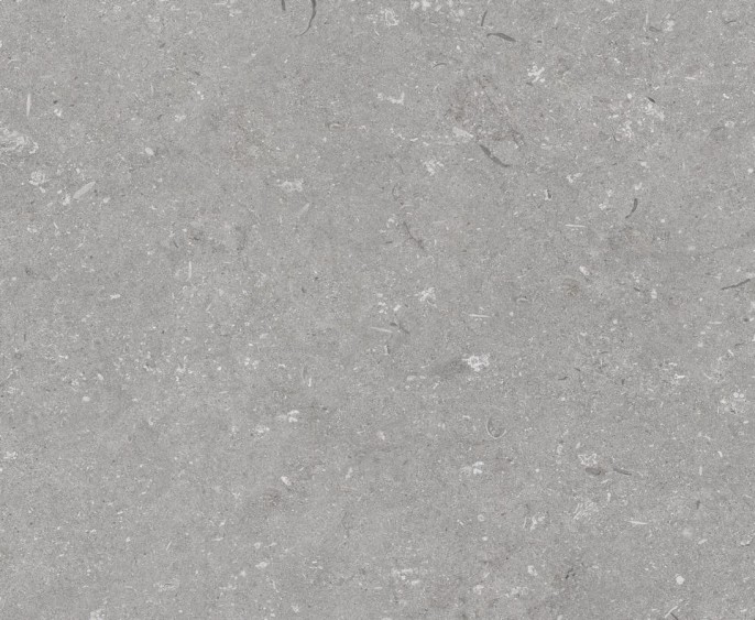 04425-Shellstone grigio 60x60_cover